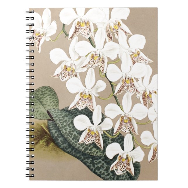 Caderno Espiral Orquídeas (Frente)