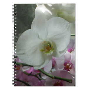 Caderno Espiral Orquídeas brancas e roxas