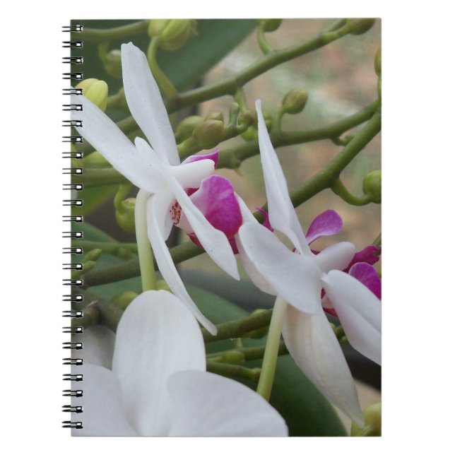Caderno Espiral Orquídeas brancas e roxas em um notebook prático (Frente)