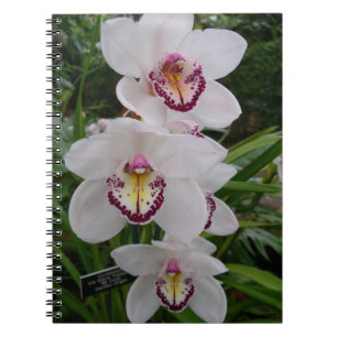 Caderno Espiral Orquídeas Brancas Lindas Flores Tropicais