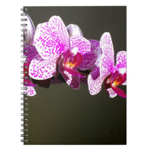 Caderno Espiral Orquídeas cor-de-rosa floral, cor-de-rosa, Elegant