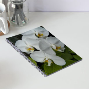 Caderno Espiral Orquídeas da Phalaenopse Branca