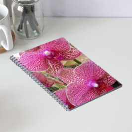 Caderno Espiral Orquídeas da Phalaenopse Espetada, Rosa, Floral
