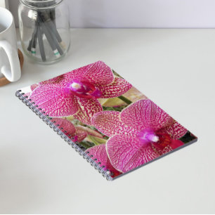 Caderno Espiral Orquídeas da Phalaenopse Espetada, Rosa, Floral