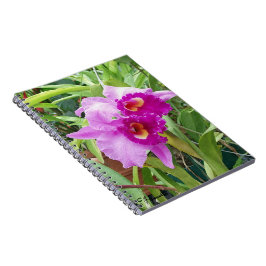 Caderno Espiral Orquídeas de Cattleya Roxo