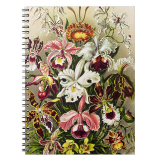 Caderno Espiral Orquídeas, Orquídeas Denusblumen Ernst Haeckel