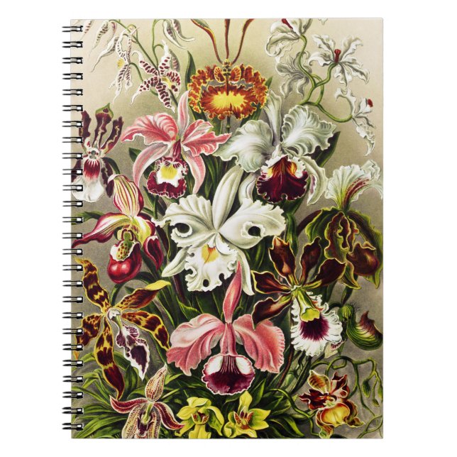 Caderno Espiral Orquídeas, Orquídeas Denusblumen Ernst Haeckel (Frente)