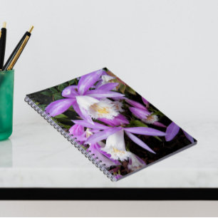 Caderno Espiral Orquídeas Pleione Púrpura e Branca