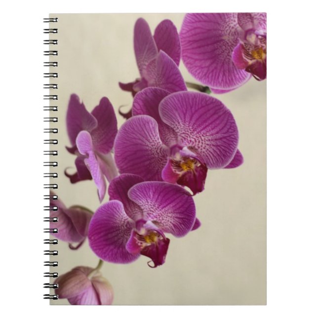 Caderno Espiral Orquídeas Rosa (Frente)