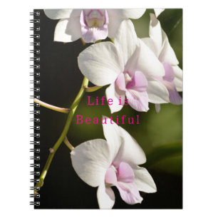 Caderno Espiral Orquídeas Rosa Branco Kauai (foto tirada por mim)