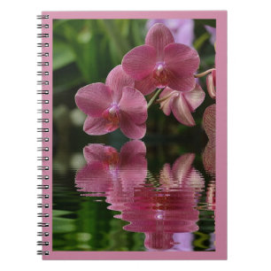 Caderno Espiral Orquídeas Rosa Com Reflexões