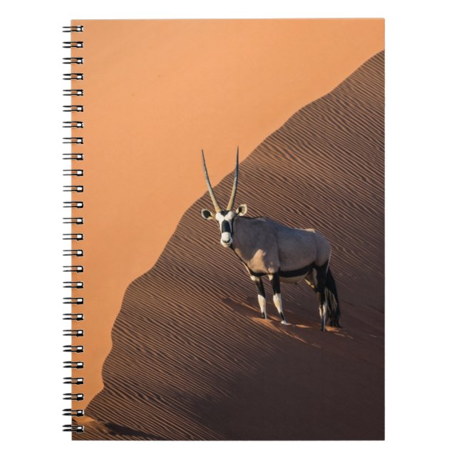 Caderno Espiral Oryx na borda, Namíbia (Frente)