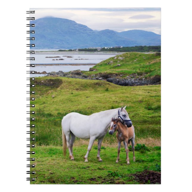 Caderno Espiral Os Cavalos de Connemara | Galway, Irlanda (Frente)