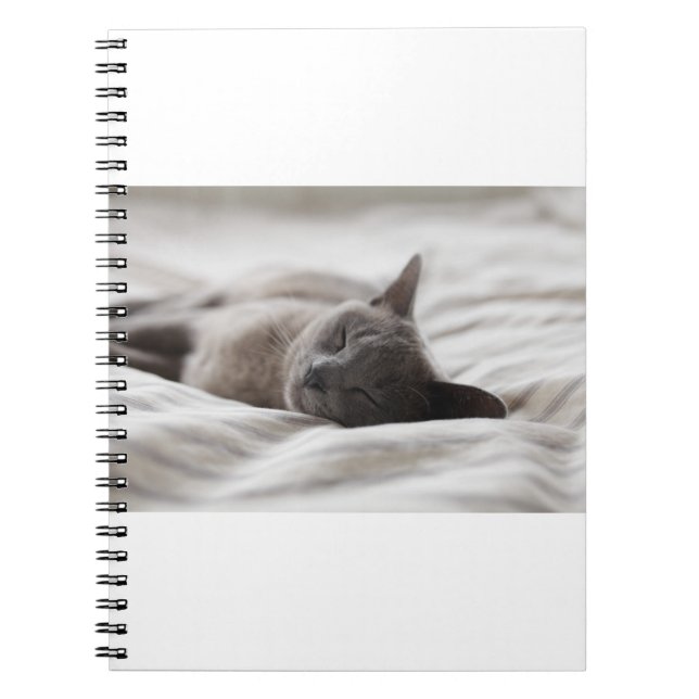 Caderno Espiral Os Gatos São Os Melhores 66 (Frente)
