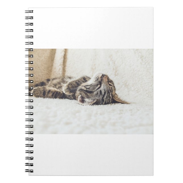 Caderno Espiral Os Gatos São Os Melhores 88 (Frente)