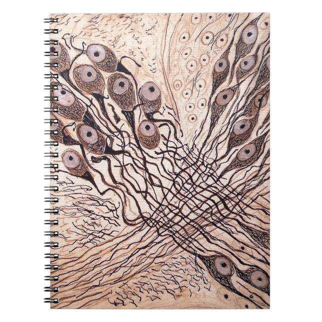 Caderno Espiral Os neurônios 1 de Cajal (Frente)