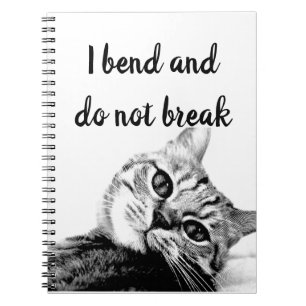 Caderno Espiral Os poetas do gato Jean de La Fontaine que eu me do