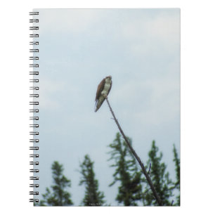 Caderno Espiral Osprey 9028