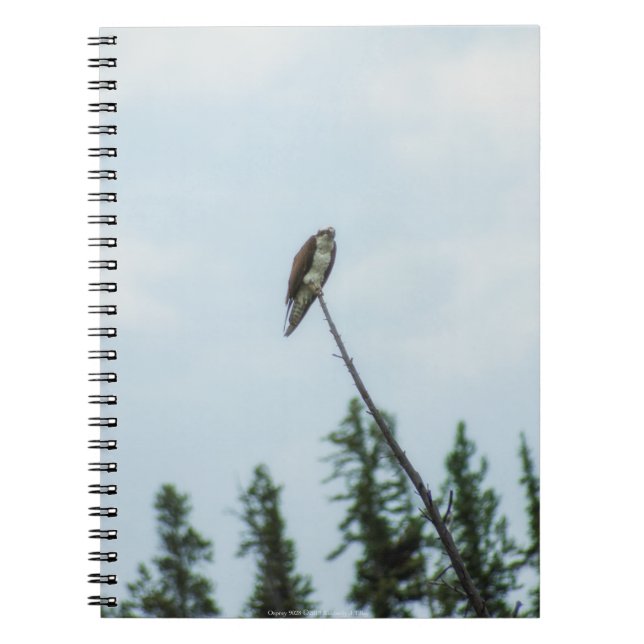 Caderno Espiral Osprey 9028 (Frente)