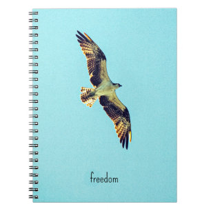 Caderno Espiral Osprey art