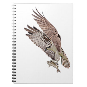 Caderno Espiral Osprey com peixe