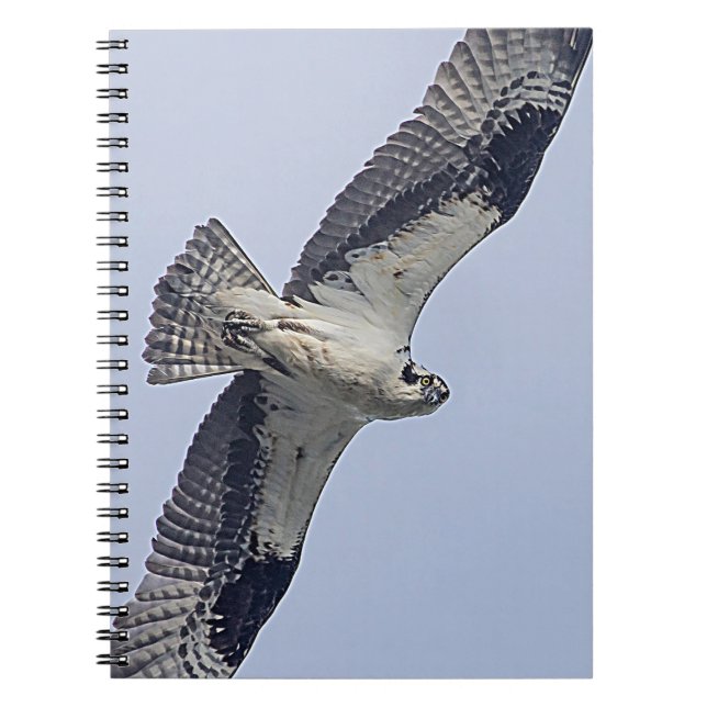 Caderno Espiral Osprey em vôo (Frente)