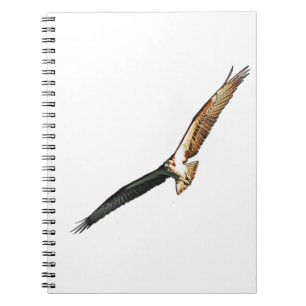 Caderno Espiral Osprey Flying