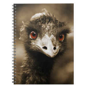 Caderno Espiral Ostras Olha o notebook
