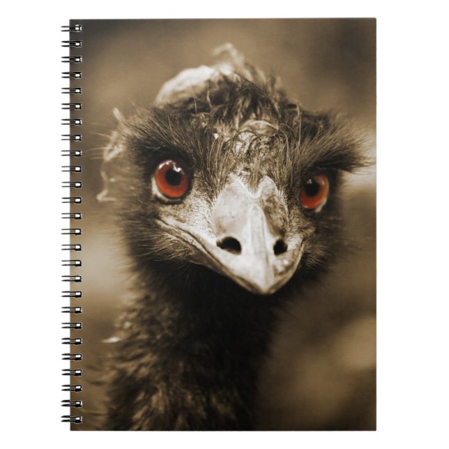 Caderno Espiral Ostras Olha o notebook (Frente)