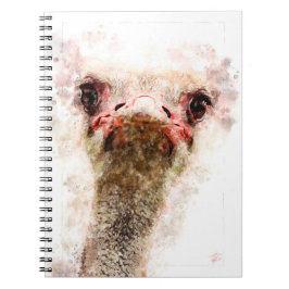 Caderno Espiral Ostrich