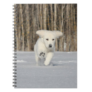 Caderno Espiral Ouro branco - Retriever Puppy na neve