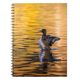 Caderno Espiral Ouro de um lago ouro
