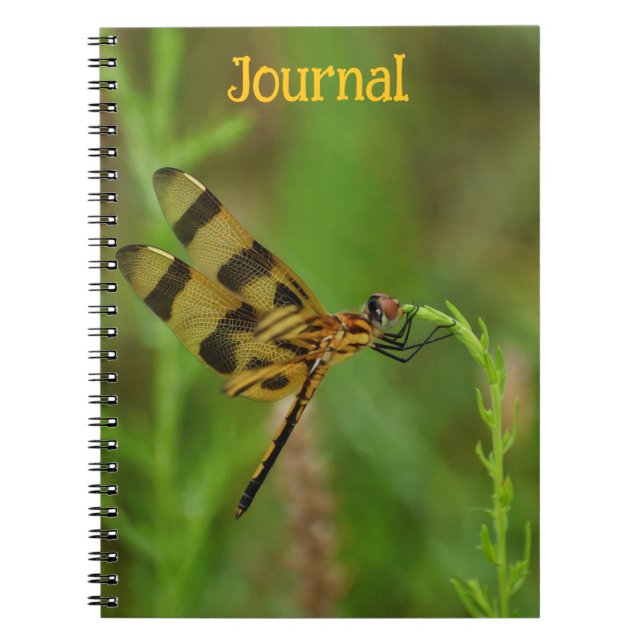 Caderno Espiral Ouro Dragonfly Personal Diário (Frente)