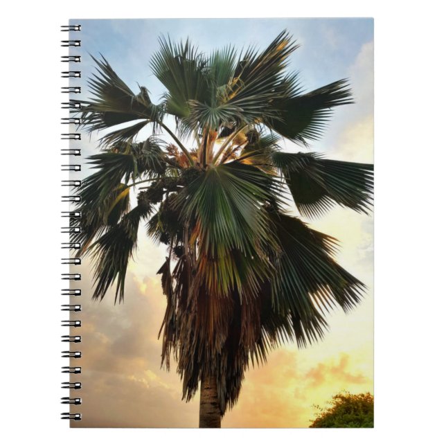 Caderno Espiral Ouro Palm Sky - Notebook tropical espiral (Frente)