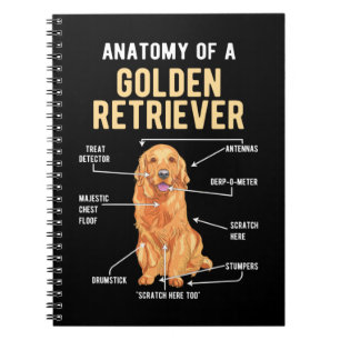 Caderno Espiral Ouro Retriever Anatomia Cão Engraçado