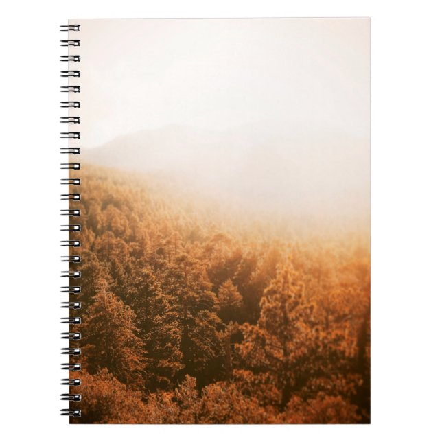 CADERNO ESPIRAL OURO SON SOBRE UMA FLORESTA (Frente)