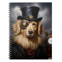 Ouro Steampunk Retriever Hat & Eye Patch 138