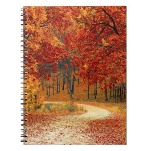 Caderno Espiral outono na floresta
