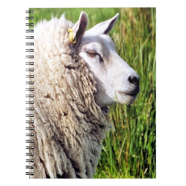 CADERNO ESPIRAL OVINO DE BOVINO (Frente)