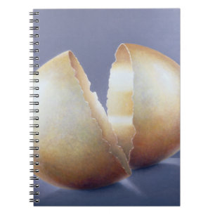 Caderno Espiral Ovo rachado da Idade do Bronze