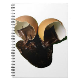 Caderno Espiral Ovos de chocolate novidade
