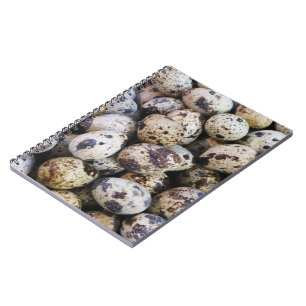Caderno Espiral Ovos de Quail