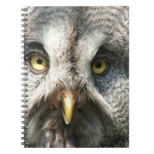 Caderno Espiral Owl Notebok