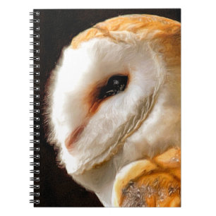 CADERNO ESPIRAL OWLS