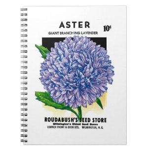 Caderno Espiral Pacote da semente do vintage do áster