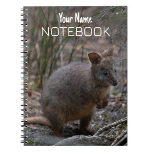 Caderno Espiral Pademelon