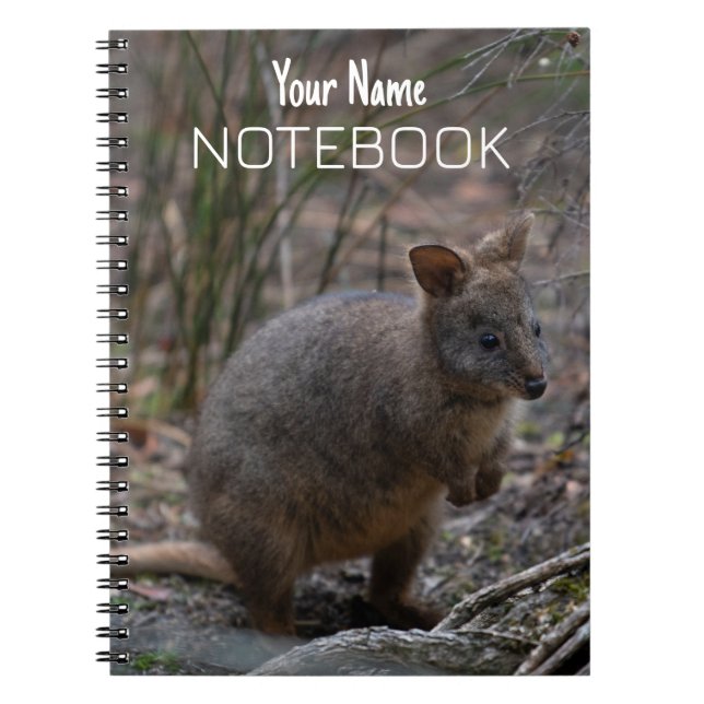 Caderno Espiral Pademelon (Frente)