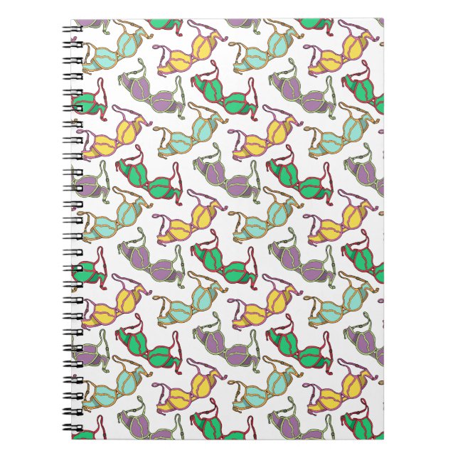 Caderno Espiral Padrão Bra Multicolor (Frente)