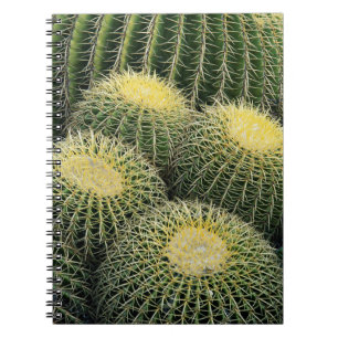 Caderno Espiral Padrão de Cacto