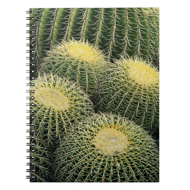 Caderno Espiral Padrão de Cacto (Frente)